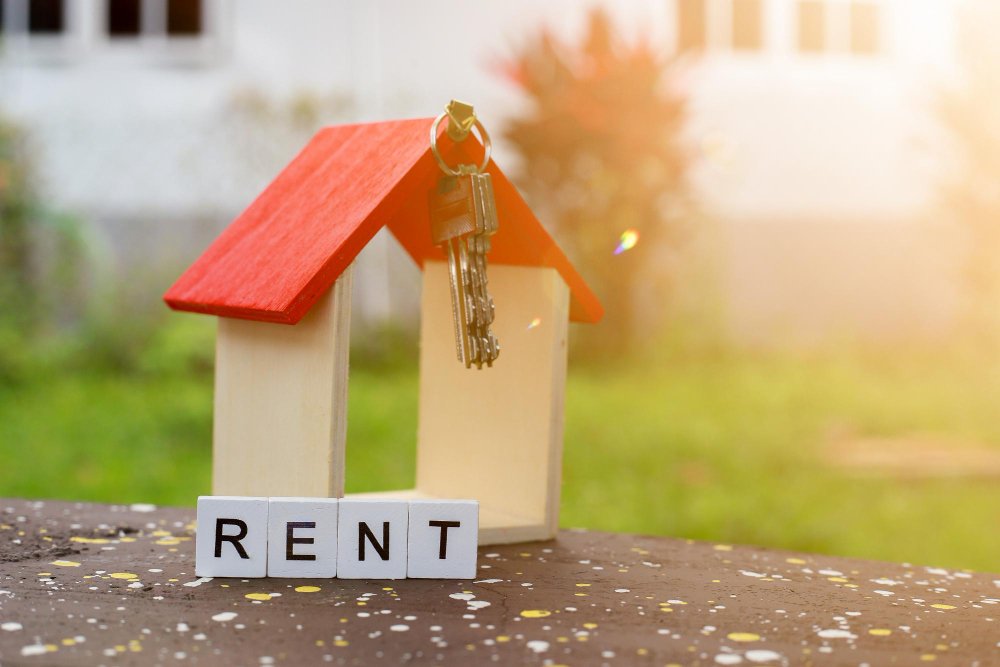 Close-up of information sign rent on